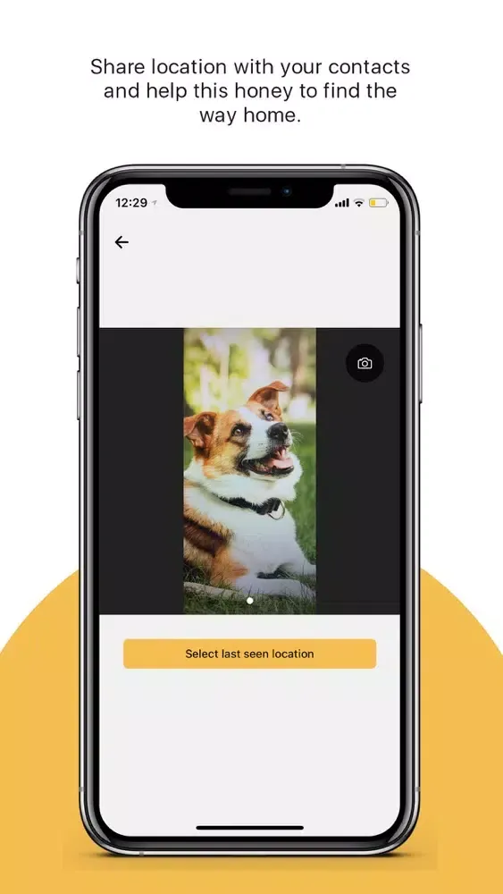 Dog Finder App Screenshots
