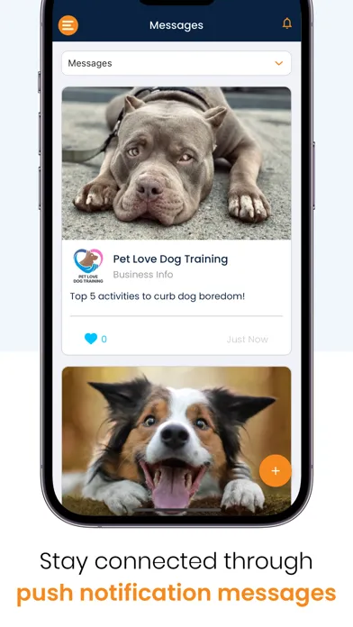 Screenshot di Pet Connect Business Hub