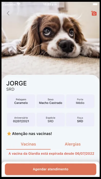 Meu Pet: histórico completo স্ক্রিনশট