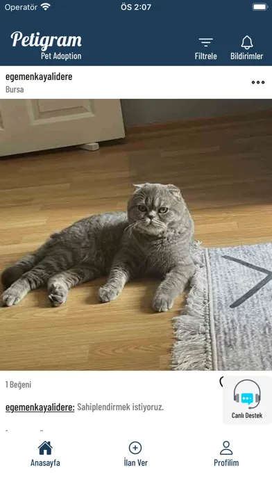Скриншоты Petigram Pet Adoption