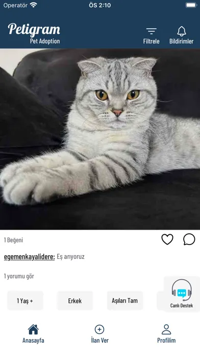 Скриншоты Petigram Pet Adoption