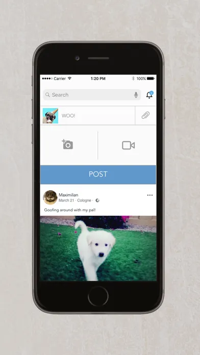 Скриншоты Social Wag