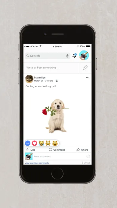 Скриншоты Social Wag