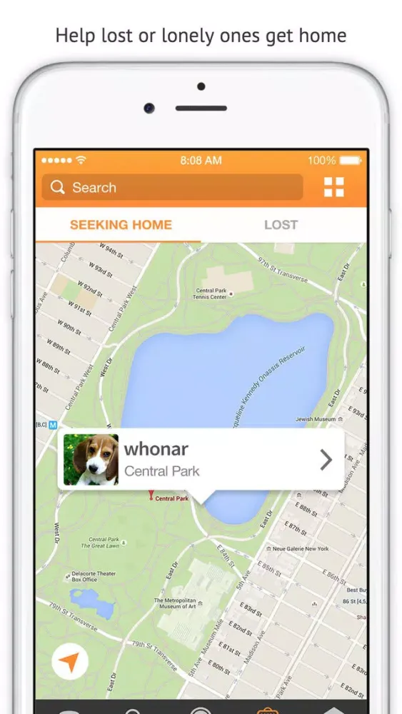Zrzuty ekranu Petle: for Animal Lovers, Lost & Seeking Home