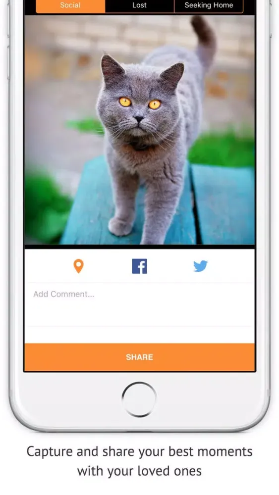 Zrzuty ekranu Petle: for Animal Lovers, Lost & Seeking Home