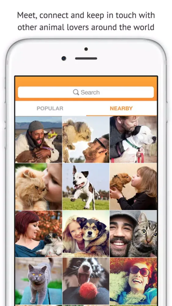 Zrzuty ekranu Petle: for Animal Lovers, Lost & Seeking Home