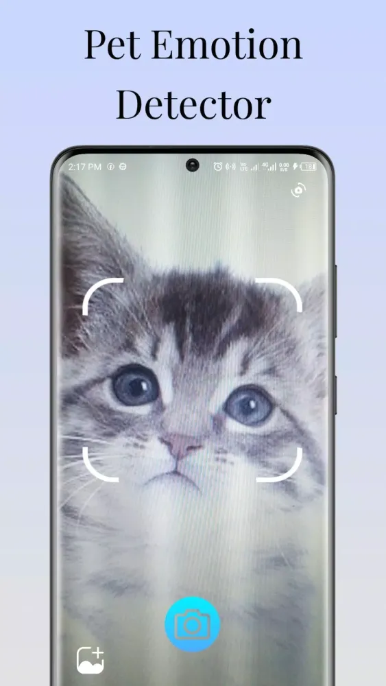 Human to Cat Translator Screenshots