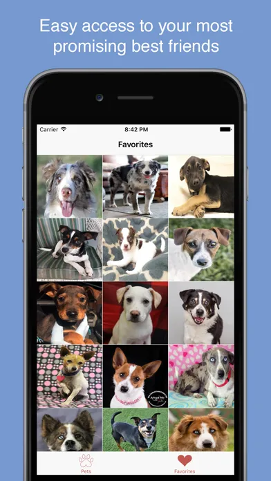 Pet Search - Adopt a Pet應用截圖