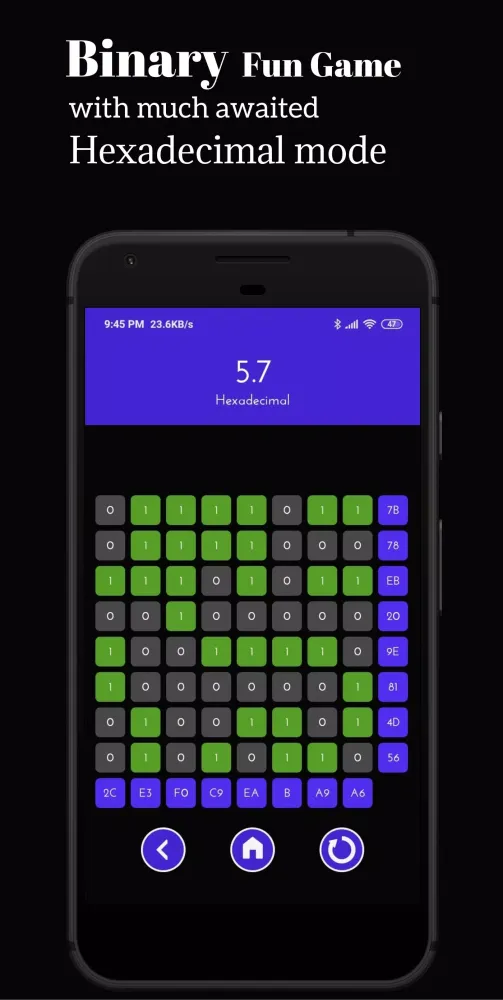 Binary Fun: Number System Game Screenshots