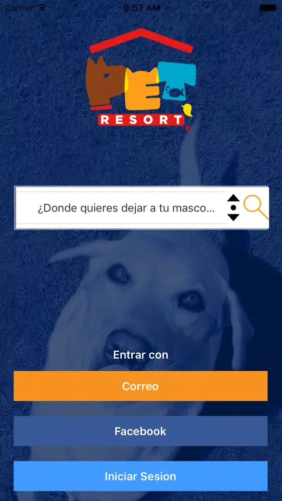 Tangkapan layar PetResortS&M