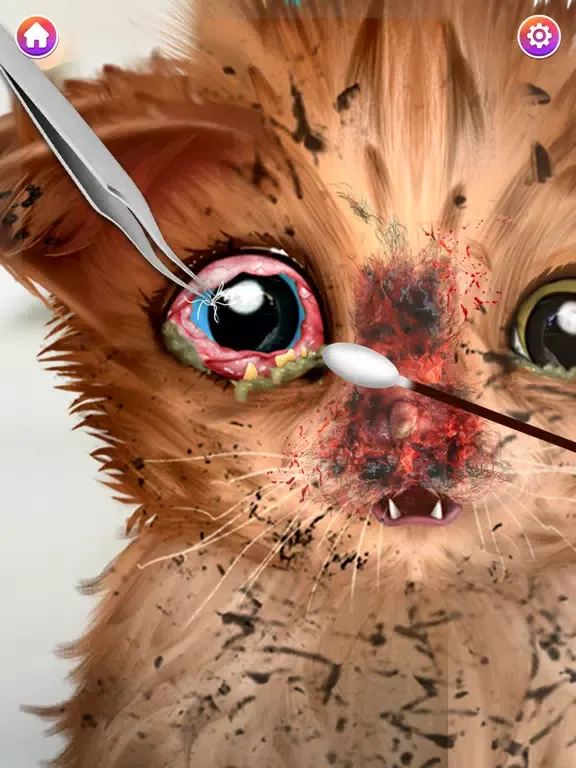 Capturas de pantalla de Cat ASMR: Salon Makeover iPad 
