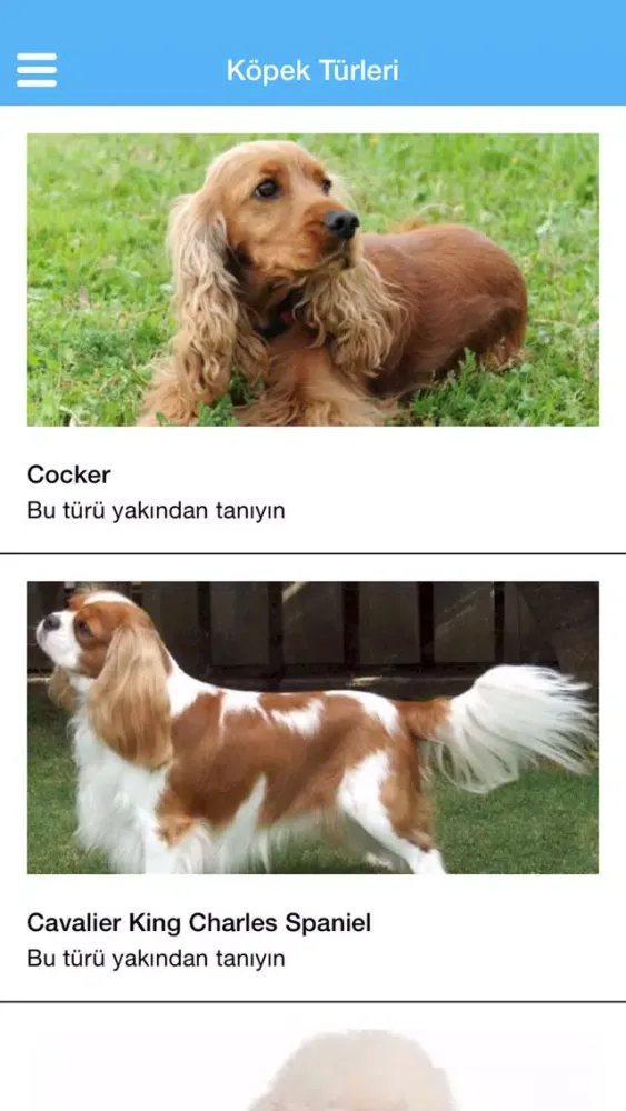 Tangkapan layar Pet Sahiplen
