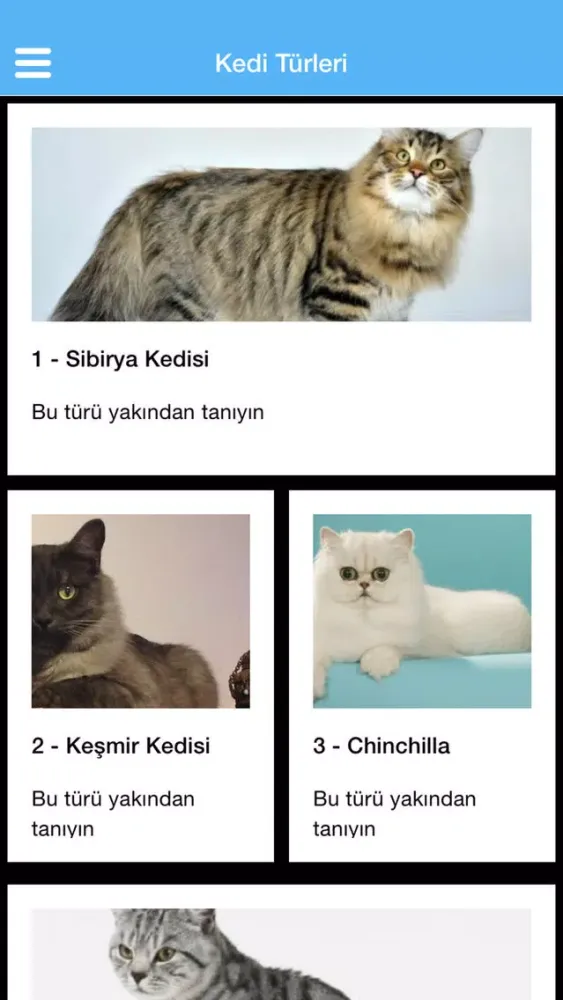 Tangkapan layar Pet Sahiplen