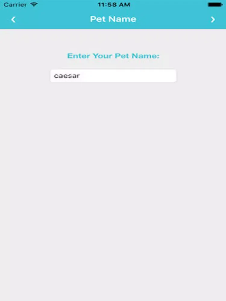 Pets Care App iPad 应用截图