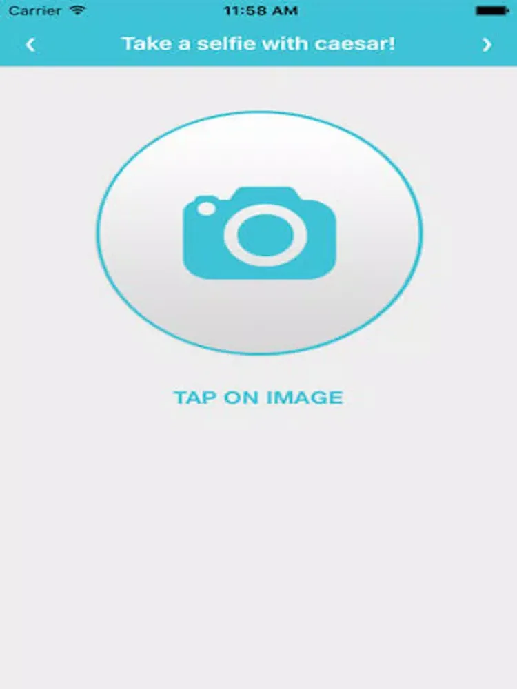 Pets Care App iPad 应用截图