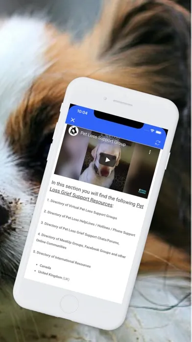 Capturas de tela do Pet Loss