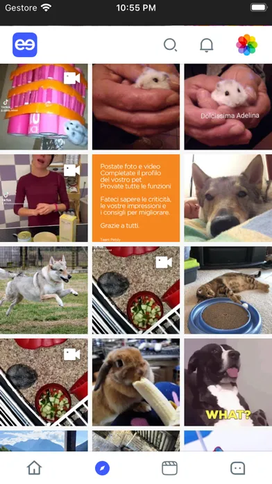 Gleeap - Make your Pet a Star Screenshots