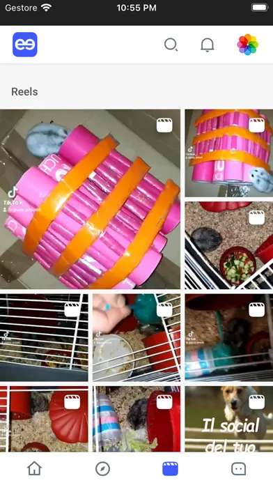 Gleeap - Make your Pet a Star Screenshots