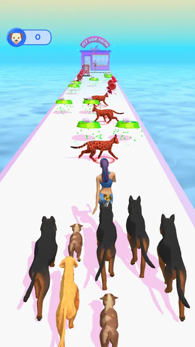 Pet Walker 3D应用截图