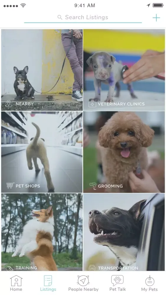 Pet Widget - The Best Pet App应用截图