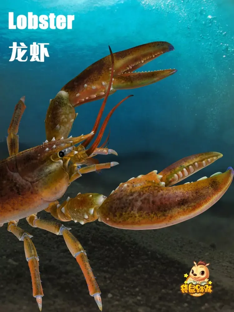 龙虾-袋鼠跳跳 iPad  Screenshots