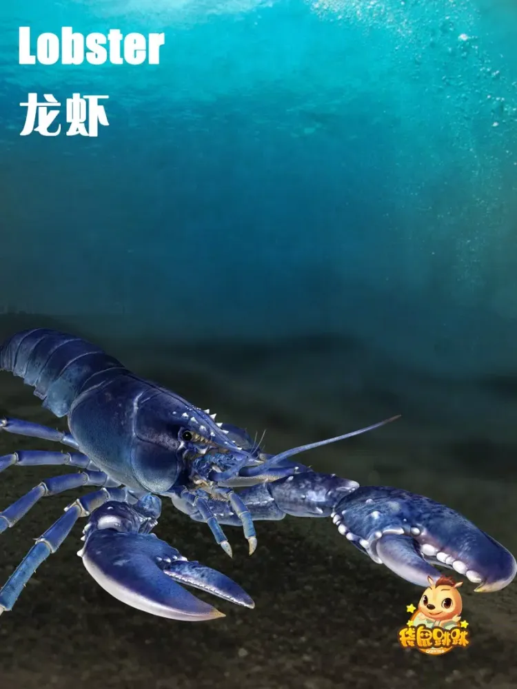 龙虾-袋鼠跳跳 iPad  Screenshots