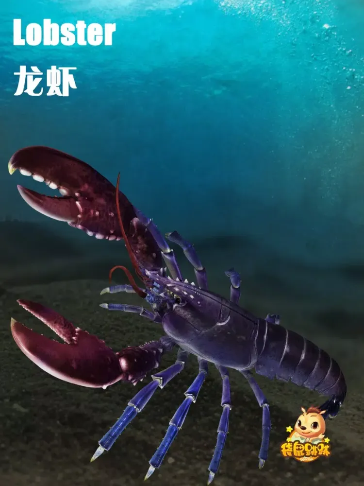 龙虾-袋鼠跳跳 iPad  Screenshots