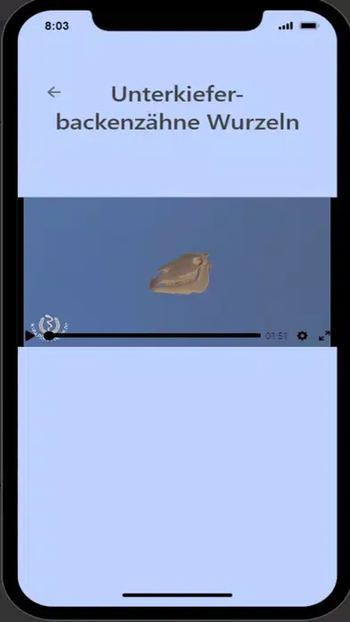 تصاویر Röntgen am Pferdekopf