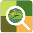 Odisha Paddy Land Survey