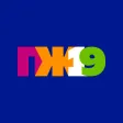 ПЖ19