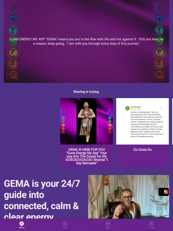 Ảnh chụp màn hình của GEMA guna energy my app iPad 