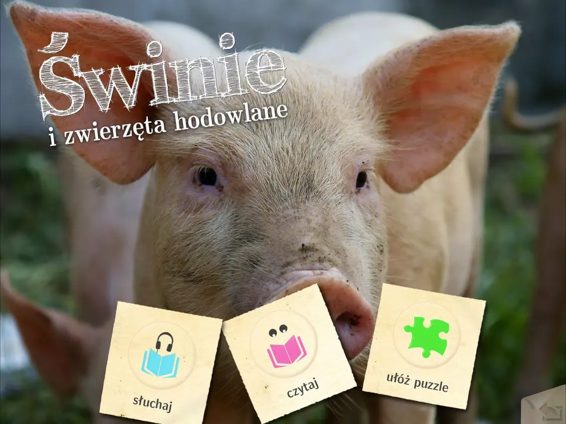 Świnie i inne zwierzęta hodowlane iPad  स्क्रीनशॉट