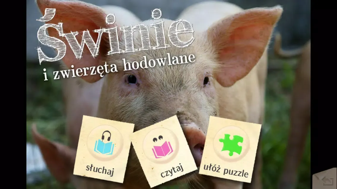 Świnie i inne zwierzęta hodowlane स्क्रीनशॉट