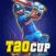 Indian T20 Cup : Cricket Game