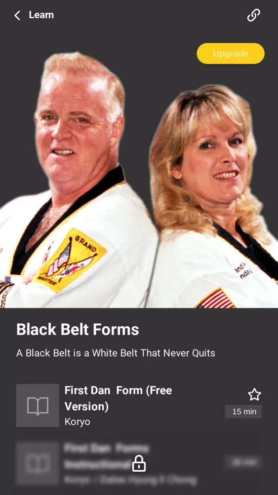 Скриншоты Taekwondo University