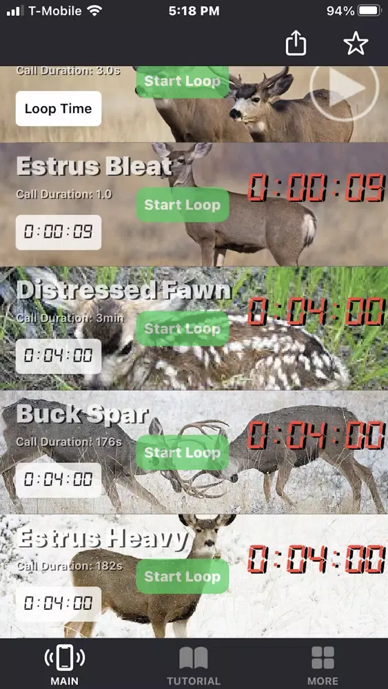 Mule Deer Calls + سکرین شاٹس
