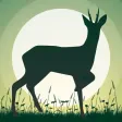 Roe Deer Calls