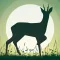 Roe Deer Calls