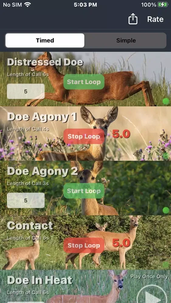 ภาพหน้าจอของ Roe Deer Calls