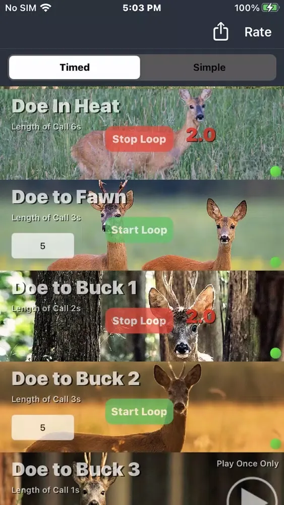 ภาพหน้าจอของ Roe Deer Calls
