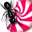 Candy Ants