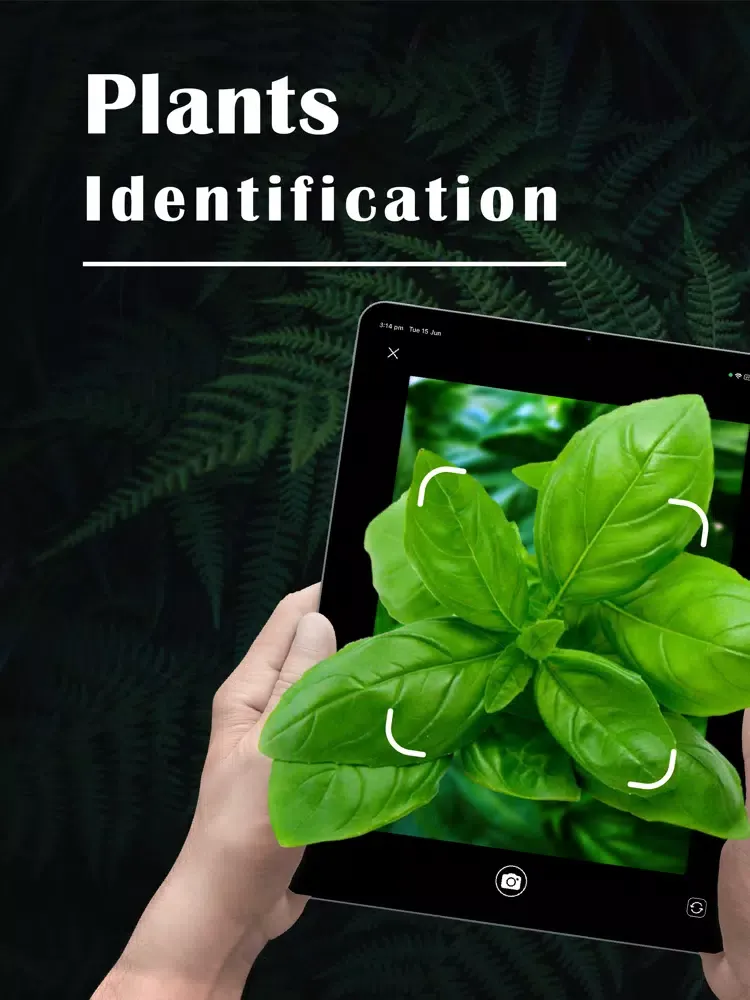Capturas de tela do PlantZ - Plant Identification iPad 
