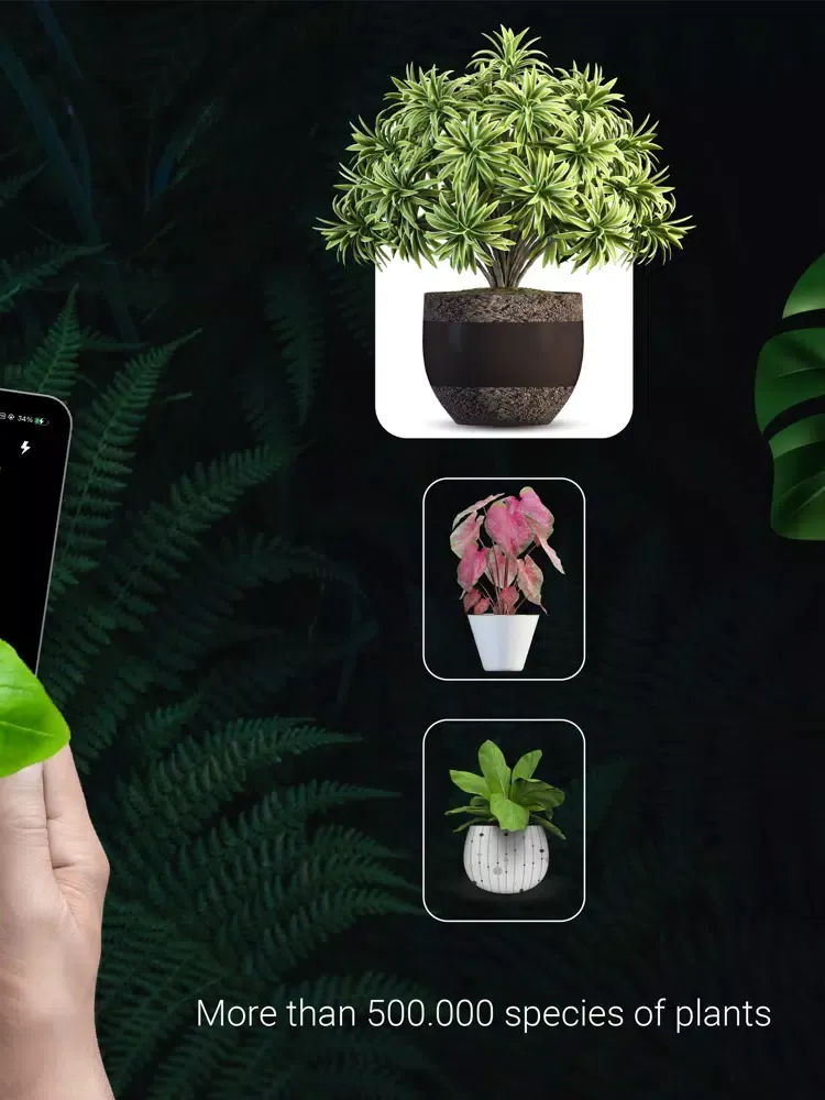 Capturas de tela do PlantZ - Plant Identification iPad 