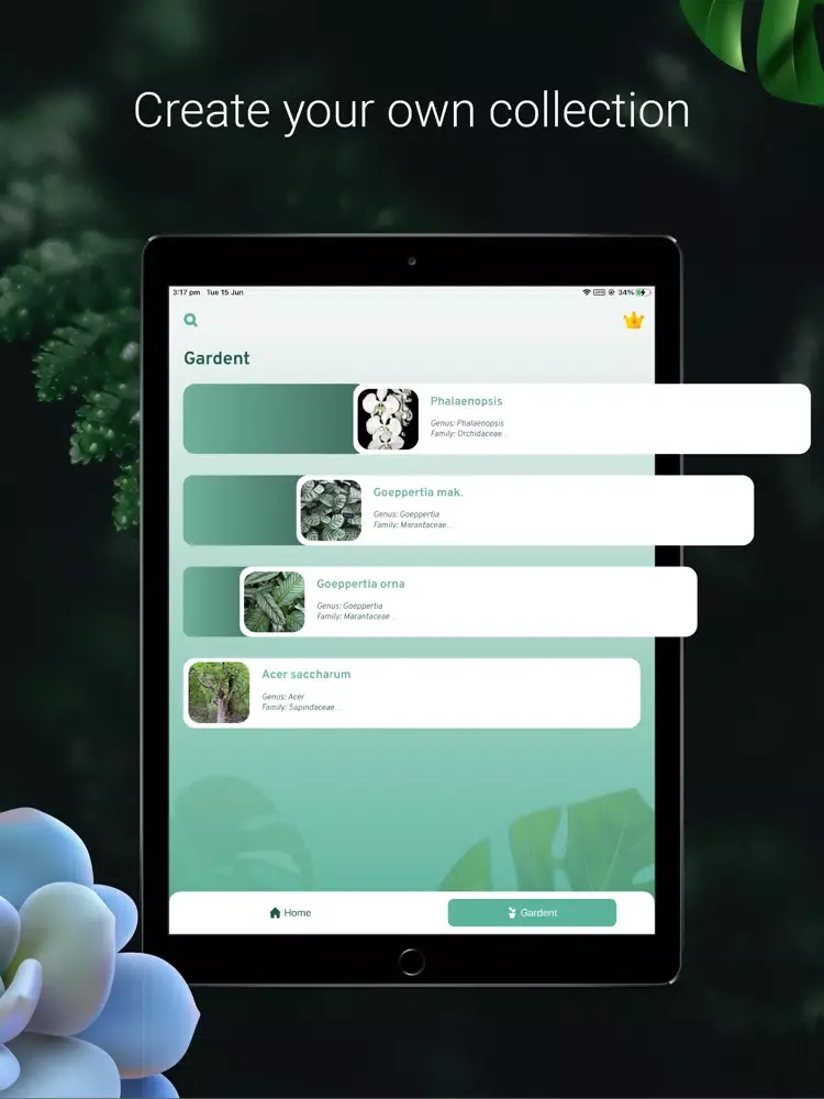 Capturas de tela do PlantZ - Plant Identification iPad 