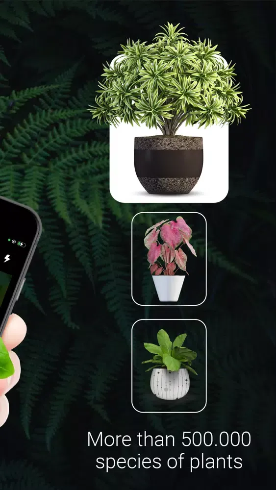 Capturas de tela do PlantZ - Plant Identification