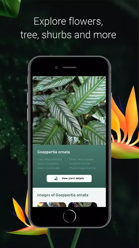 Capturas de tela do PlantZ - Plant Identification
