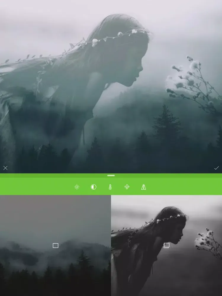 Merge Photos - Pic Superimpose iPad  Screenshots