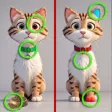 Difference Hunter Find & Spot