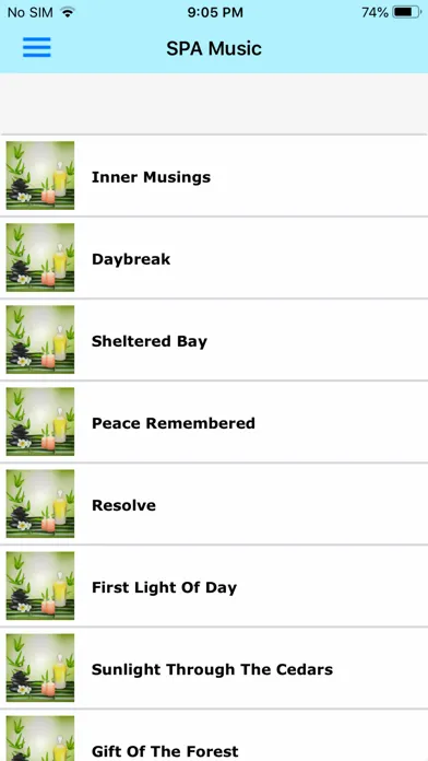Relaxing Music Collection Screenshots