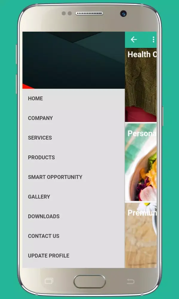 Flywings Marketing Ekran Görüntüleri